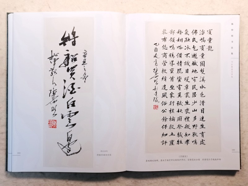 高情灏气翰墨香——《墨痕心迹· 陈仲明书法集》序(图19)