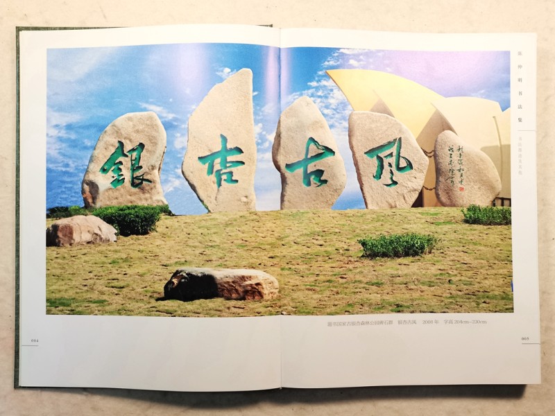 高情灏气翰墨香——《墨痕心迹· 陈仲明书法集》序(图21)
