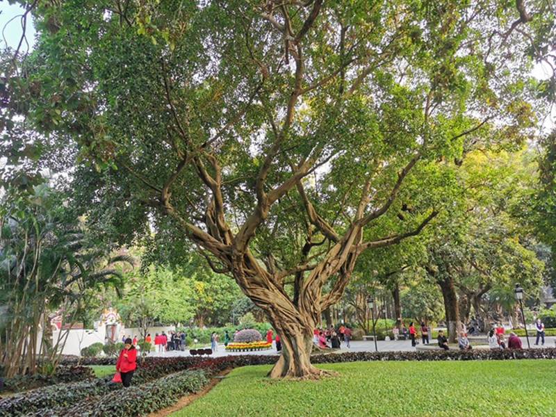 南京篆刻家赴中山市进行艺术交流(图16)