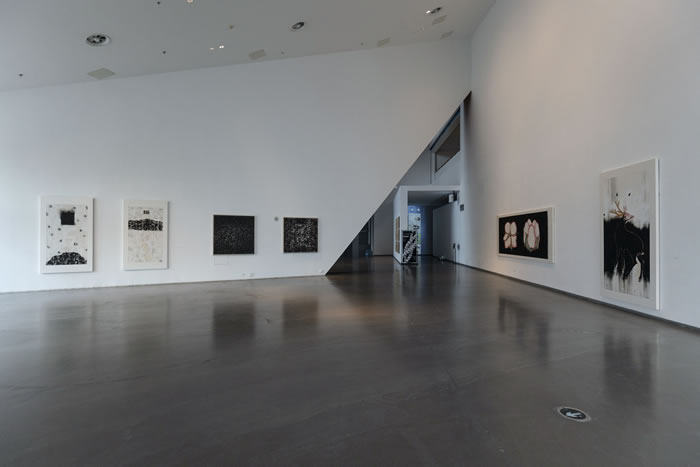 中国当代水墨年鉴七周年跨年展 ：一个群展中的五个个展ABCD(图12)