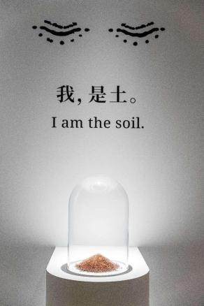明珠美术馆 | “生土礼赞”展览全新揭幕 土而不土，重新发现土的奥妙 一场关于生土的变革(图12)