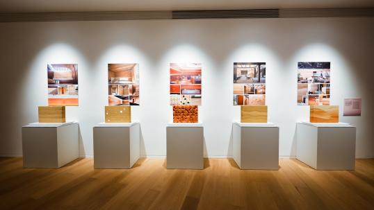 明珠美术馆 | “生土礼赞”展览全新揭幕 土而不土，重新发现土的奥妙 一场关于生土的变革(图28)