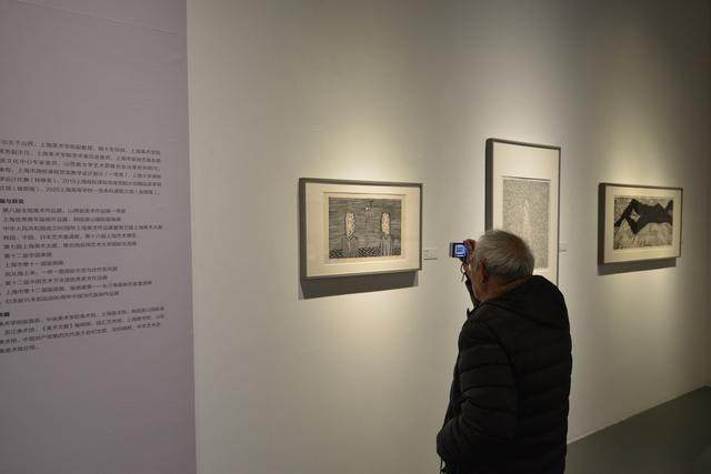 刘海粟美术馆迎来跨年大展 | 一年又一年-档案2023第三届上海当代新兴版画推介展(图2)