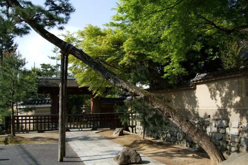 京都大德寺龙光院2.jpg