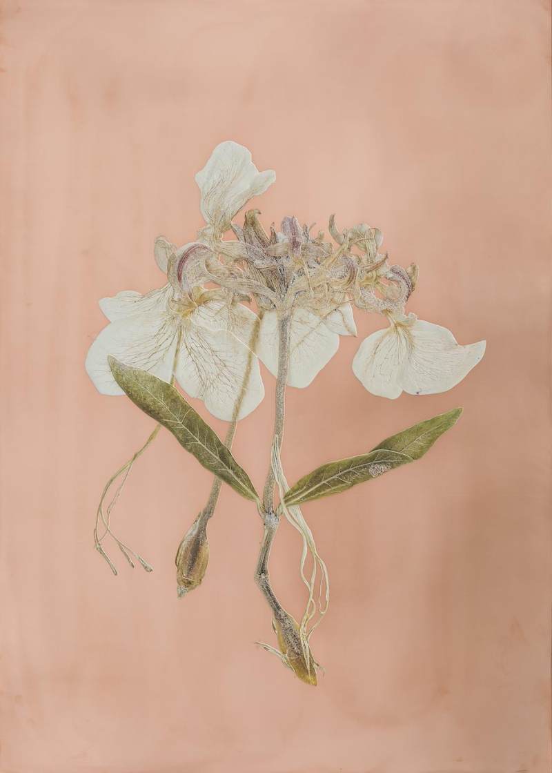 花天花地——龙美术馆十周年特展(图35)