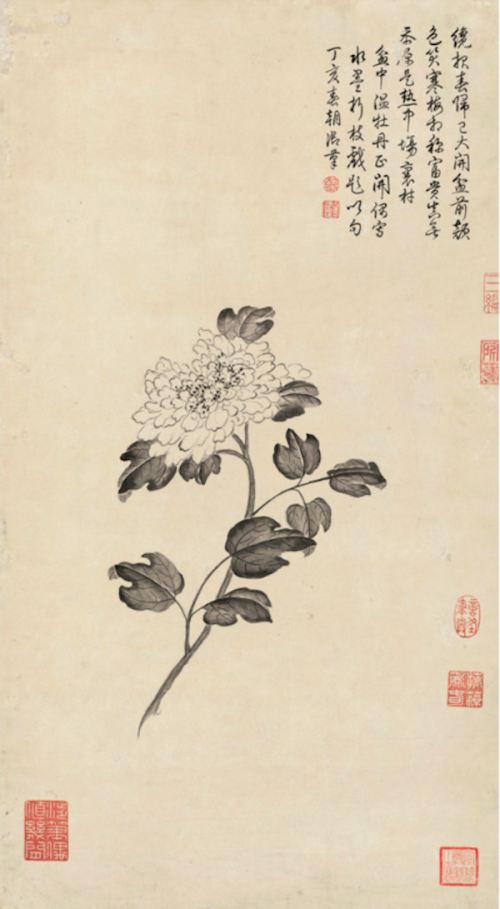 历代名家笔下的牡丹_长三角美术家网