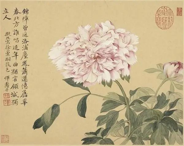 历代名家笔下的牡丹_长三角美术家网