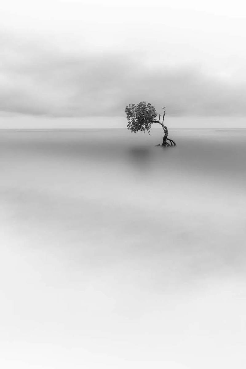 640 (11).jpg 640 (11).jpg