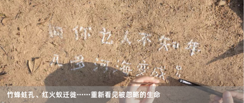 闭幕倒计时8天！上双闭幕圆桌：费大为、孙甘露、伍江、许知远、杨福东、张念，邀你共同在场！(图20)