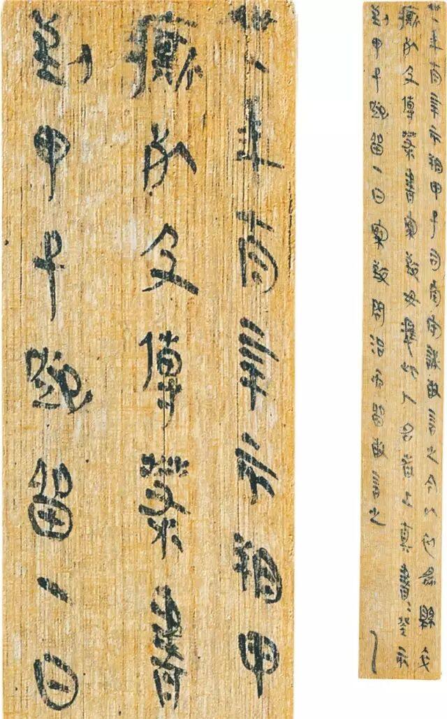 里耶秦简---改写传统篆隶书学观(图25)