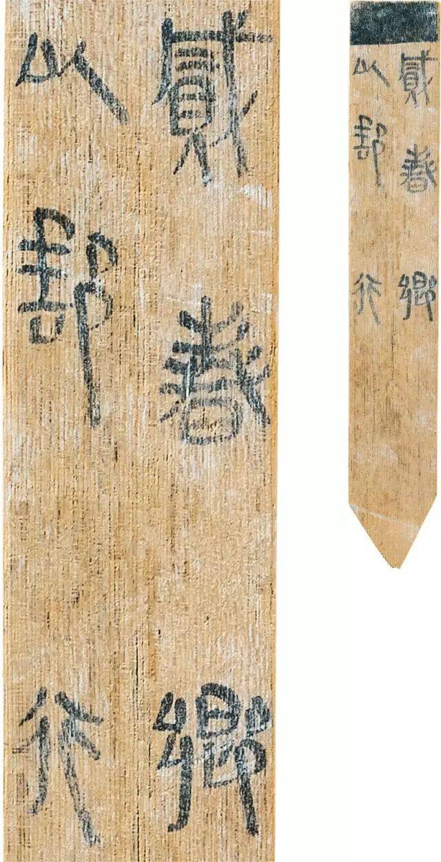 里耶秦简---改写传统篆隶书学观(图4)
