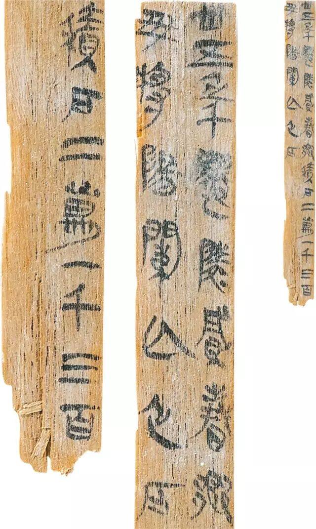 里耶秦简---改写传统篆隶书学观(图16)