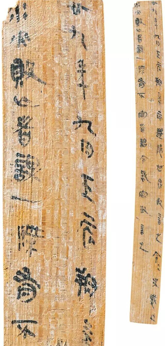 里耶秦简---改写传统篆隶书学观(图19)